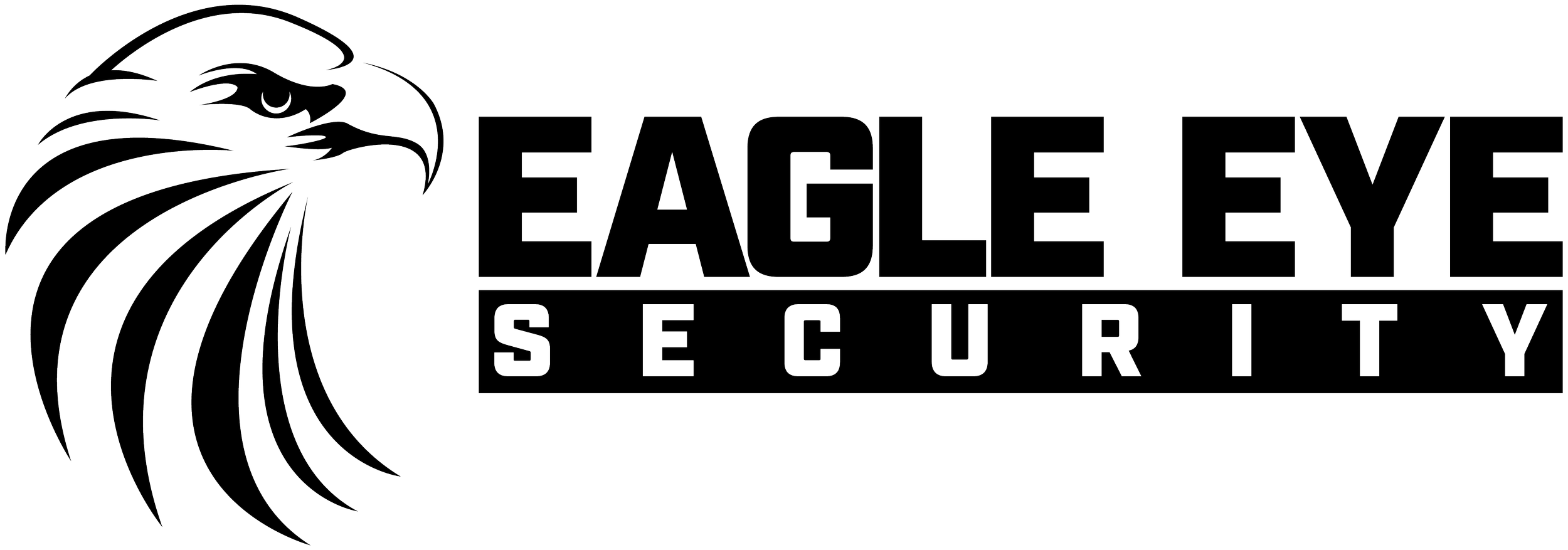 EagleEyelogo-2023-ICON+copy
